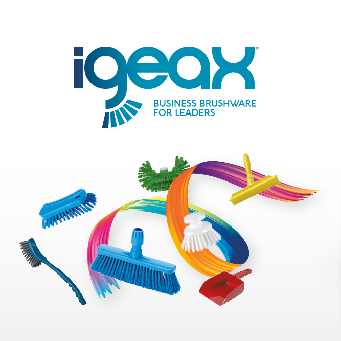10_home_focus-on_igeax